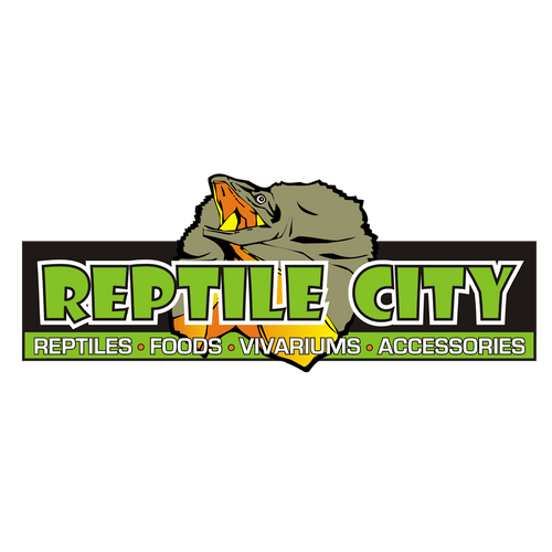Reptile City